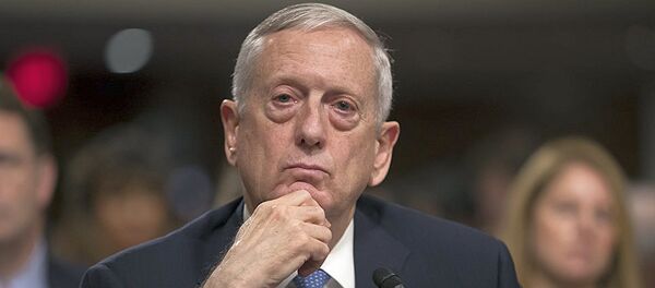 美國國防部長馬蒂斯 - 俄羅斯衛星通訊社