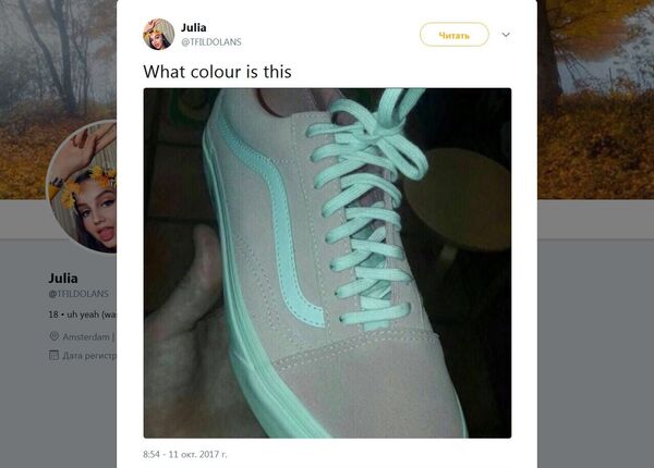 一只帆布鞋引发颜色大讨论 - 俄罗斯卫星通讯社