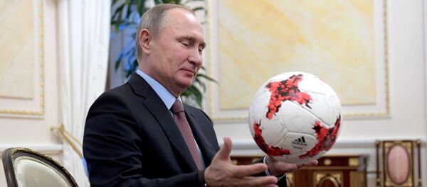 普京最爱贝利老马 - 俄罗斯卫星通讯社