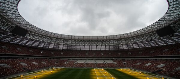 世界杯组委会主席：毫无疑问至明年春2018世界杯所有设施都将准备完毕 - 俄罗斯卫星通讯社