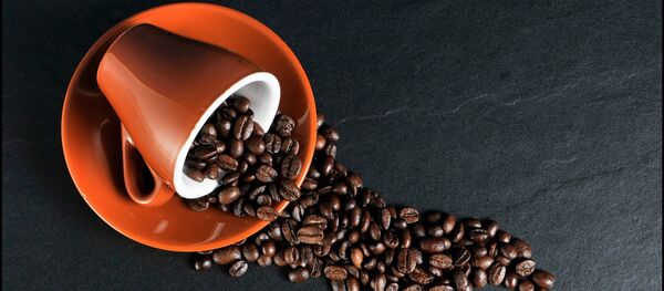 美国加州法院将咖啡与致癌产品同等对待 - 俄罗斯卫星通讯社