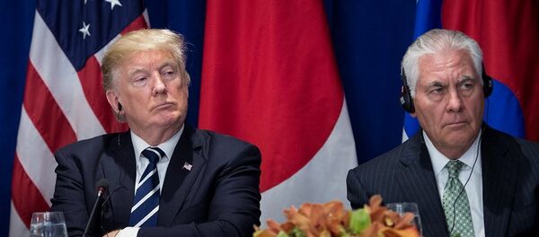 美国总统特朗普与美国务卿卿蒂勒森 - 俄罗斯卫星通讯社