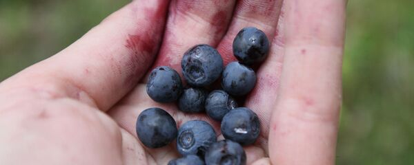 学者研究出孩子们在考试前最需要吃的食物 - 俄罗斯卫星通讯社