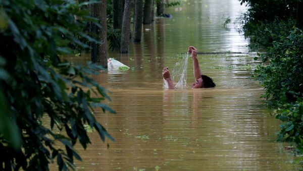 越南水灾 - 俄罗斯卫星通讯社
