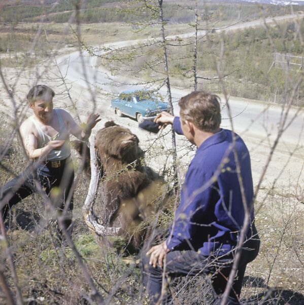 年轻人和熊合影，1967年 - 俄罗斯卫星通讯社