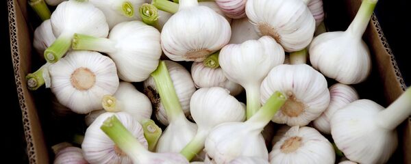 Чеснок на рынке выходного дня в Цхинвале - 俄罗斯卫星通讯社