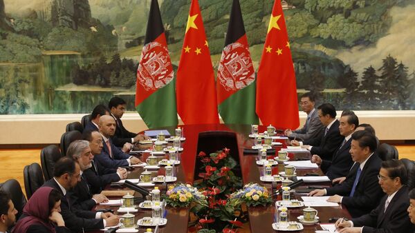 欧盟驻阿富汗特使将赴京讨论和平解决阿富汗问题 - 俄罗斯卫星通讯社