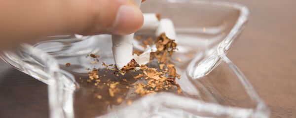 Сломанная сигарета в пепельнице - 俄罗斯卫星通讯社