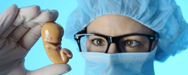 Врач держит модель эмбриона - 俄罗斯卫星通讯社