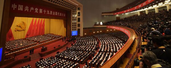 “一带一路”建设被写入党章有利于提高中国开放型经济水平 - 俄罗斯卫星通讯社