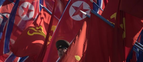 A Korean People's Army (KPA) soldier stands between flags - 俄羅斯衛星通訊社