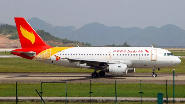 中國再次發生朝飛機發動機扔硬幣事件 涉事老太已被拘留 - 俄羅斯衛星通訊社