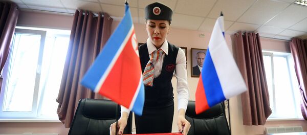 朝鮮外務省代表不打算在莫斯科會見美韓代表團 - 俄羅斯衛星通訊社