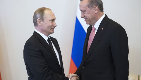 俄罗斯总统普京和土耳其总统埃尔多安（图片资料） - 俄罗斯卫星通讯社