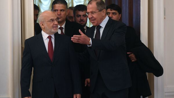 俄罗斯外长拉夫罗夫与伊拉克外长贾法里举行会晤 - 俄罗斯卫星通讯社