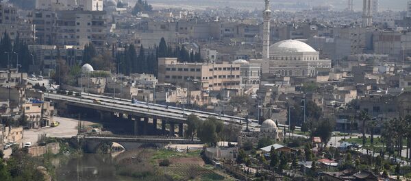 哈马省（图片资料） - 俄罗斯卫星通讯社