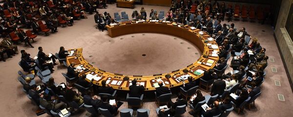 安理会 - 俄罗斯卫星通讯社
