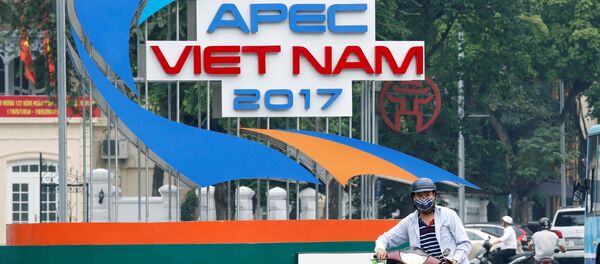 APEC - 俄罗斯卫星通讯社