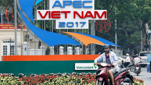 APEC岘港会议未讨论“全面进展的跨太平洋伙伴关系协定” - 俄罗斯卫星通讯社