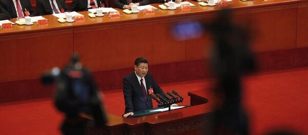 习近平建议发展中国家借鉴中国现代化模式 - 俄罗斯卫星通讯社