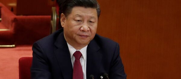 习近平 - 俄罗斯卫星通讯社