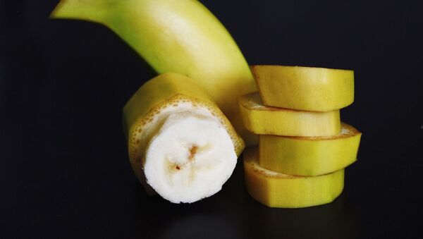 有種危險的真菌可以毀掉地球上所有的香蕉 - 俄羅斯衛星通訊社