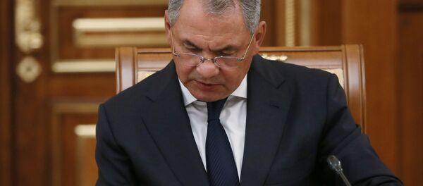 俄罗斯与卡塔尔签署军事技术合作协议 - 俄罗斯卫星通讯社