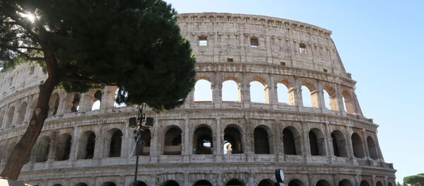 羅馬一名少年因侮辱中國人傳播新冠病毒被捕 - 俄羅斯衛星通訊社