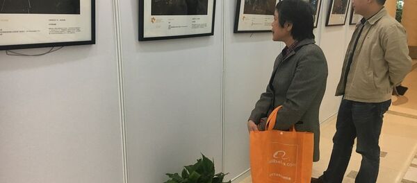2017斯捷寧新聞攝影大賽獲獎作品展在北京開幕 2017斯捷寧新聞攝影大賽獲獎作品展在北京開幕 - 俄羅斯衛星通訊社