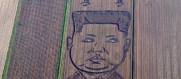 兩百多米長的金正恩畫出現在了意大利藝術家自家的地裡 - 俄羅斯衛星通訊社