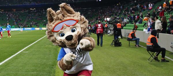 中国外交官高度评价俄方在世界杯期间为球迷提供的安保水平 - 俄罗斯卫星通讯社