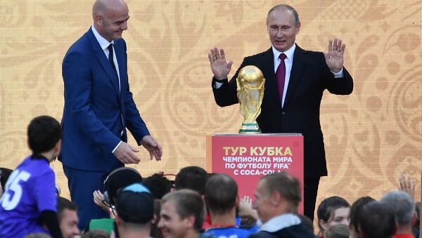 普京指示要在明年4月30日前確定2018年足球世界杯後各相關設施的使用問題 - 俄羅斯衛星通訊社