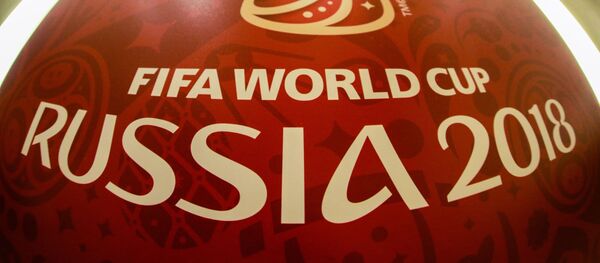 相信本届世界杯将给中国球迷留下深刻印象 相信本届世界杯将给中国球迷留下深刻印象 - 俄罗斯卫星通讯社