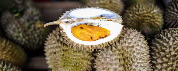 榴莲 - 俄罗斯卫星通讯社