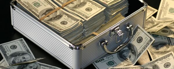 美元 美元 - 俄罗斯卫星通讯社