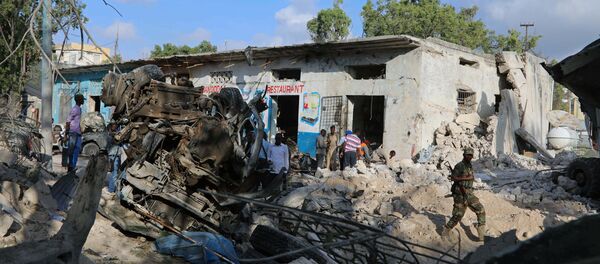 国际特赦组织称美国空袭致索马里平民死亡 - 俄罗斯卫星通讯社