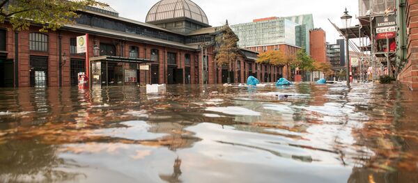 飓风席卷德国中部和北部 火车运行部分中断 - 俄罗斯卫星通讯社