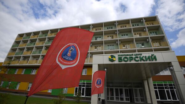 中国球迷积极预定俄世界杯期间的酒店客房 - 俄罗斯卫星通讯社