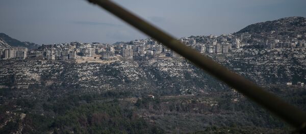 俄外交部：联合国安理会应于今日就叙伊德利卜局势举行磋商 - 俄罗斯卫星通讯社