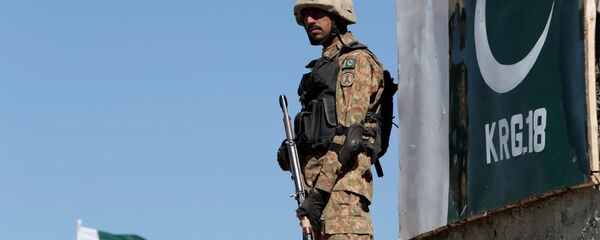 巴基斯坦 - 俄罗斯卫星通讯社