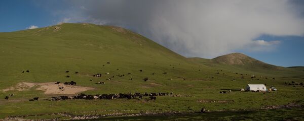 西藏 - 俄罗斯卫星通讯社