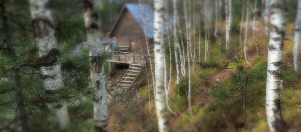 俄托木斯克州林業局推出中文版俄林業領域經商須知手冊 - 俄羅斯衛星通訊社