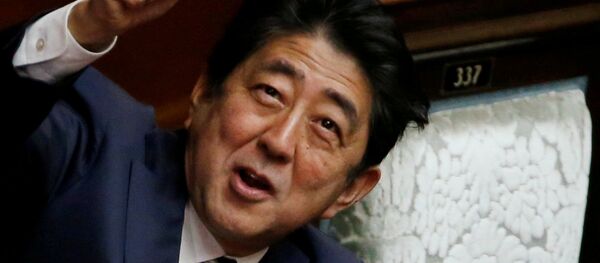 日本首相安倍晋三 - 俄罗斯卫星通讯社