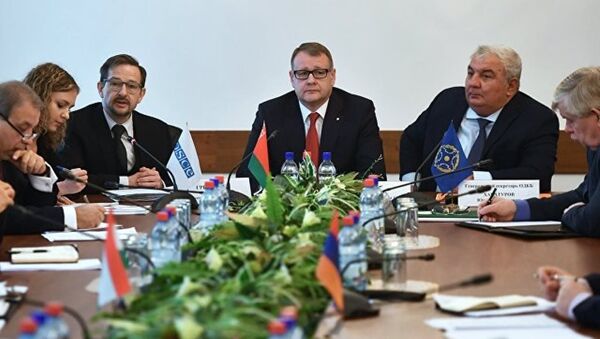 欧安组织新秘书长呼吁优先发展与集体安全条约组织的伙伴关系 - 俄罗斯卫星通讯社