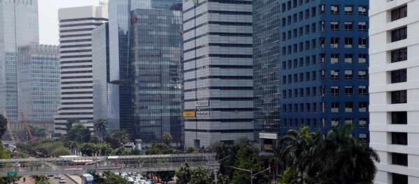 专家：华人从未损害印尼经济利益 - 俄罗斯卫星通讯社