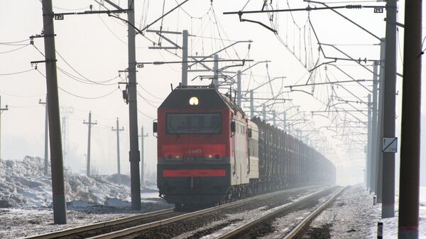 俄铁公司加挂来往中国的集装箱过境火车的车皮 - 俄罗斯卫星通讯社
