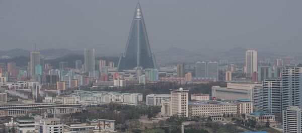 专家：美国因金正男遇刺对朝鲜实施新制裁其合法性存疑 - 俄罗斯卫星通讯社