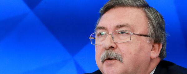 俄外交官:美国不参与履行伊核协议技术上仍可行 俄外交官:美国不参与履行伊核协议技术上仍可行 - 俄罗斯卫星通讯社