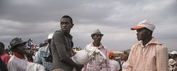 马达加斯加 - 俄罗斯卫星通讯社