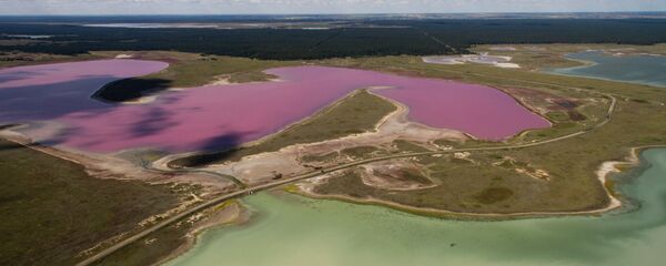 馬利諾夫鹽湖·阿爾泰邊疆區 - 俄羅斯衛星通訊社